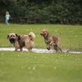 Foto van team Shadow