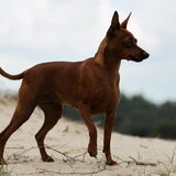 Foto van Eefje • Yuna