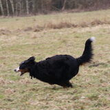 the road runner :-))))