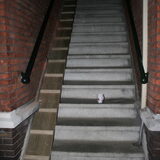 Mikey's eigen trap :)