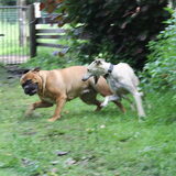 Foto van Lo&So