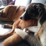 Zo lief.. als ze slapen :-)