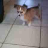 dit is zino 3maand