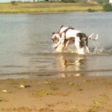 Foto van Lotte met Hobbe