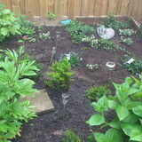 Charley haar plekje(rechts achter in de tuin)