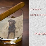 Foto van Helma & Venz