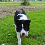 6 maanden
