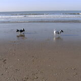 lopen graag op t strand....