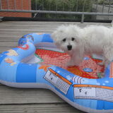 Foto van Marleen & Bo & Snufke+