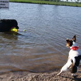 Saartje met bff Elvis