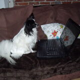 Lindy checkt of het vrouwtjes alles wel goed heeft gedaan op de laptop…