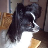 Mijn mooi meisje Lindy