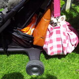 stiekem in een pretpark