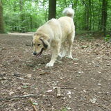 Foto van Julie & Yucca <3