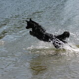 Mara te water!