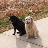 lady en spoeky samen