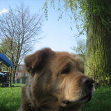 Foto van kiiimsx3