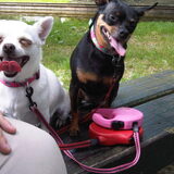Foto van Jantina, Laila & Luna