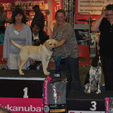 flying foxy vd weeward in genk juni 2011 best pup in show we waren en…