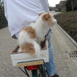 spring maar achter op bij mij, achter op mijn fiets