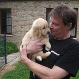 Oef na bijna 4 maand wachten komt mijn retriever pup bij me thuis , ik…