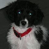 net in bad geweest, 3 maand