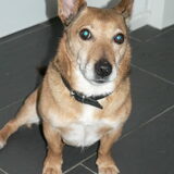 onze Rocky