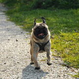 Foto van Abby &Google