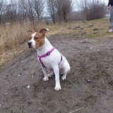 Foto van u-will-b-in-my-heart