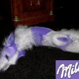 milka komt niet van een koe maar van mijn hondje