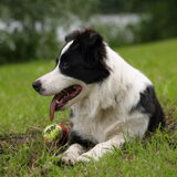 Met de tennisbal
