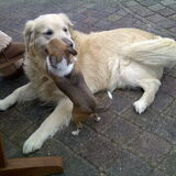 Foto van Brenda & Buddy & Bobby & Onyx
