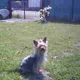 dat is snoopy is nu 14 maand