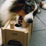 Foto van Isha