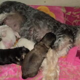 Foto van Gea (Nayca en Foxy)
