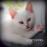 Zoontje Stoffel..
