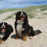 Cay en Cooper