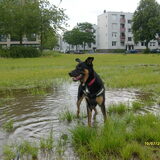 Foto van jacqueline en baco