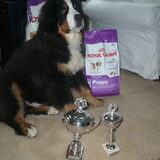 Beste Baby berner !!