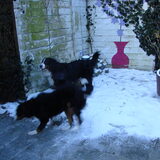 sneeuwfotos van onze 2 meiden en van mijn schoondochter.