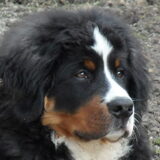 eeeeem...effe denken