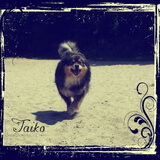Foto van Taiko & Kiya Thalassa
