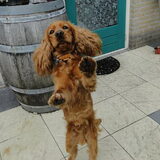 everybody start dancing !!