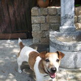 Wat een lief koppie!!!!