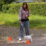 Puppycursus