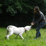 Foto van Melissa, Dempsey, Taiko, Minos & *Nina*
