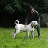 Foto van Melissa, Dempsey, Taiko, Minos & *Nina*