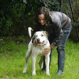 Foto van Melissa, Dempsey, Taiko, Minos & *Nina*