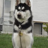 Lancer... 9,5 maand