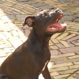 Foto van Mariska en Grace *Shiva(rip)*